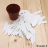 Lot de 100 Mini Etiquettes pour Plantes et Semis.