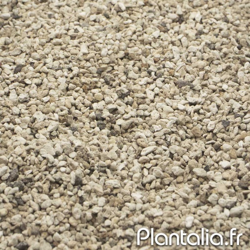 Pierre Ponce / Pumice calibre 1/3mm - Substrat Plantes et Succulentes Pierre Ponce / Pumice calibre 1/3mm - Substrat Plantes et Succulentes