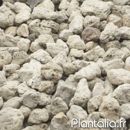 Pierre Ponce / Pumice calibre 10/14mm - Substrat Plantes et Succulentes