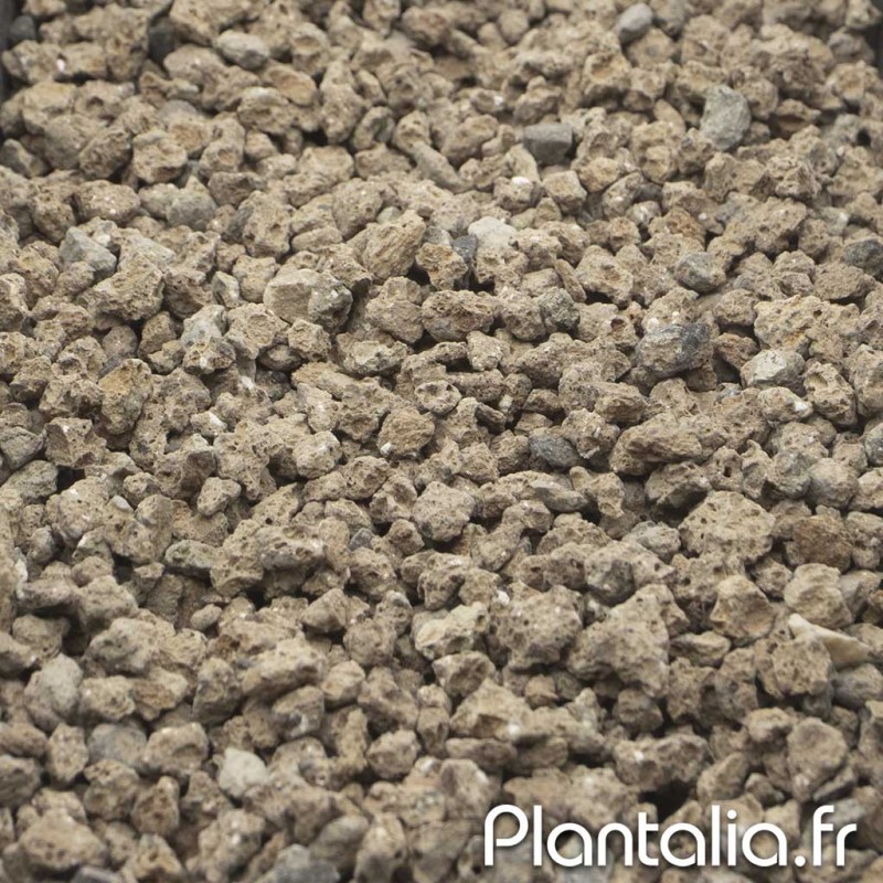 Zéolithe Chabazite 3/6mm - Substrat Plantes, Succulentes et Bonsai Zéolithe Chabazite 3/6mm - Substrat Plantes, Succulentes et Bonsai